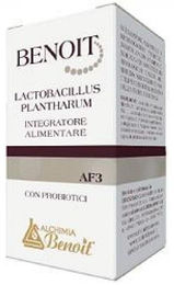 BENOIT Lactobacillus plantarum Kapseln für Frauen, Schwangere, Stillende und Kinder 30 Stück – Bild 1 von 1