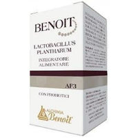 Produktbild von BENOIT Lactobacillus plantarum Kapseln für Frauen, Schwangere, Stillende und Kinder 30 Stück