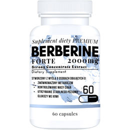 Berberin Forte ULTRASOFT GROUP 2000 mg Berberis-Extrakt 4:1 Vegan 60 Kapseln – Bild 1 von 2