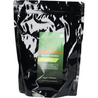 Produktbild von BERGLÖWE Bio Hanf Protein Pulver Vegan Natur
