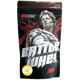 Big Zone Battle Whey Protein Konzentrat Schoko Kokos 1000g – Bild 1 von 1