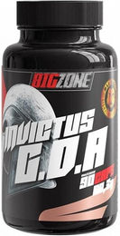 Big Zone Invictus G.D.A Kapseln mit Kräuter-Komplex – Bild 1 von 3