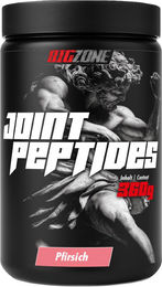 Big Zone Joint Peptides Pulver 360g – Bild 1 von 2