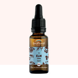 Biofloral Bach-Blüte Nr. 11 Ulme Tropfen Demeter-Qualität 20 ml – Bild 1 von 1