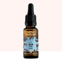 Produktbild von Biofloral Bach-Blüte Nr. 11 Ulme Tropfen Demeter-Qualität 20 ml