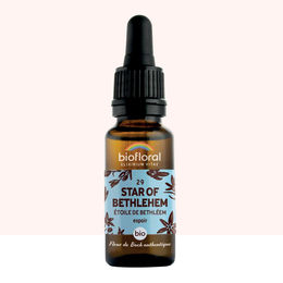 Biofloral Bach-Blüte Nr. 29 Stern von Bethlehem Demeter-Qualität 20 ml Flüssig – Bild 1 von 2