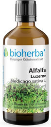 Bioherba Alfalfa Luzerne Medicago sativa L. Tinktur Tropfen zuckerfrei glutenfrei laktosefrei ohne Zusatzstoffe – Bild 1 von 2