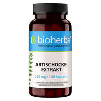 Produktbild von Bioherba Artischockenextrakt Kapseln vegan 250 mg 100 Stück