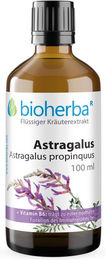 Bioherba Astragalus Tropfen Tinktur zuckerfrei glutenfrei laktosefrei ohne Zusatzstoffe – Bild 1 von 2