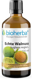 Bioherba Echte Walnuss Juglans regia L. Tinktur Tropfen 100 ml – Bild 1 von 2