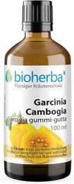 Bioherba Garcinia Cambogia Tropfen mit Chrom, zuckerfrei, glutenfrei und laktosefrei – Bild 1 von 2