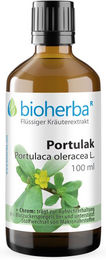 Bioherba Portulak Portulaca oleracea L. Tinktur Extrakt Tropfen – Bild 1 von 3