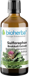 Bioherba Sulforaphan Brokkoli Extrakt Tropfen Tinktur 100 ml – Bild 1 von 4