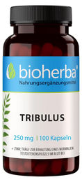 Bioherba Tribulus Kapseln ohne Zusatzstoffe 100 Stück – Bild 1 von 5