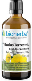 Bioherba Tribulus Terrestris Erd-Burzeldorn Tropfen Tinktur glutenfrei laktosefrei zuckerfrei ohne Zusatzstoffe – Bild 1 von 2