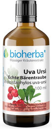 Bioherba Uva Ursi Echte Bärentraube Tinktur Tropfen 100 ml – Bild 1 von 2