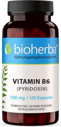 Bioherba Vitamin B6 Pyridoxin 100 mg Kapseln 100 Stück – Bild 1 von 5