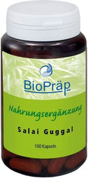 BioPräp Salai Guggal Weihrauch Kapseln 100 Stück – Bild 1 von 1