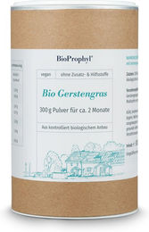 BioProphyl Bio Gerstengras Pulver vegan glutenfrei ohne Zusatzstoffe 300 g – Bild 1 von 1