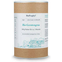 Produktbild von BioProphyl Bio Gerstengras Pulver vegan glutenfrei ohne Zusatzstoffe 300 g