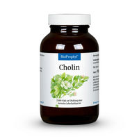 Produktbild von BioProphyl Cholin Kapseln vegan 120 Stück