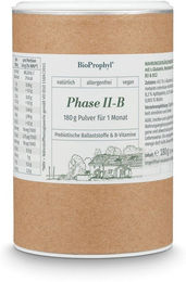 BioProphyl Darmsanierung Phase II-B Ballaststoff-Komplex Pulver vegan ohne Zusatzstoffe 180 g – Bild 1 von 1
