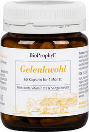 BioProphyl Gelenkwohl Kapseln mit Boswellia Weihrauch vegan und ohne Zusatzstoffe – Bild 1 von 1