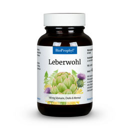 BioProphyl Leberwohl Kapseln mit Silymarin und Cholin vegan 60 Stück – Bild 1 von 4
