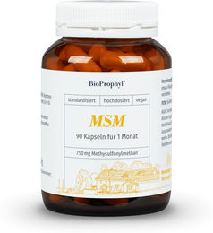 BioProphyl MSM Kapseln vegetarisch – Bild 1 von 1