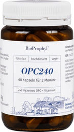 BioProphyl OPC240 plus Acerola Kapseln vegan ohne Zusatzstoffe 120 Stück – Bild 1 von 1
