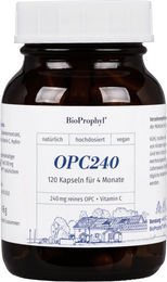 BioProphyl OPC240 plus Acerola Kapseln vegan ohne Zusatzstoffe 120 Stück – Bild 1 von 1
