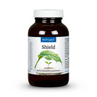 Produktbild von BioProphyl Shield Vitamine Mineralstoffe und Spurenelemente mit Zink Vitamin C Vitamin B1 und B2 für Sportler 120 pflanzliche Kapseln