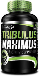 BioTech USA Tribulus Maximus Extra Tabletten – Bild 1 von 2