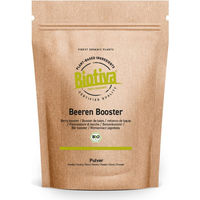 Produktbild von Biotiva Bio Beeren Booster Protein Pulver 400g veganes Superfood mit Acai, Acerola und Maca