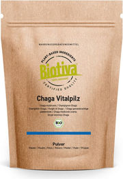 Biotiva Chaga Pilz Pulver Bio ohne Zusatzstoffe 125g – Bild 1 von 3
