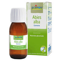 Produktbild von Boiron Abies Alba Glycerin-Extrakt pflanzlicher Ursprung 60 ml