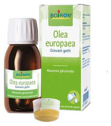 Boiron Olea Europaea Glycerin-Extrakt 60 ml – Bild 1 von 1