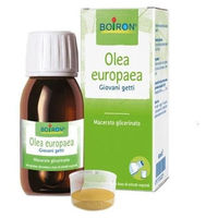 Produktbild von Boiron Olea Europaea Glycerin-Extrakt 60 ml