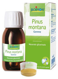 Boiron Pinus Montana Glycerin-Extrakt pflanzlicher Ursprung 60 ml – Bild 1 von 1