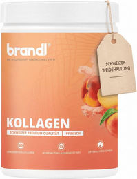 brandl® COLLAswiss® Kollagen Pulver aus Rind Typ I und III ohne Zusatzstoffe 555 g – Bild 1 von 3