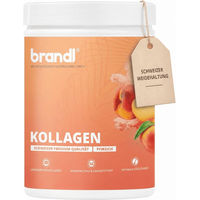 Produktbild von brandl® COLLAswiss® Kollagen Pulver aus Rind Typ I und Typ III ohne Zusatzstoffe