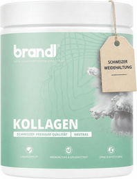 brandl COLLAswiss Kollagen Pulver aus Schweizer Weidehaltung Typ I und III ohne Zusatzstoffe 555 g – Bild 1 von 4