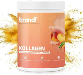 Brandl COLLAswiss Kollagen Pulver Rind Typ I und III ohne Zusatzstoffe – Bild 1 von 3