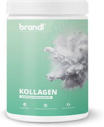brandl® Kollagen Pulver aus Schweizer Weidehaltung Rind Typ I und Typ III ohne Zusatzstoffe 550 g – Bild 1 von 4