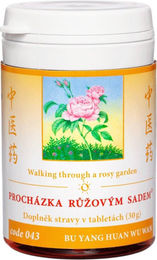 BU YANG HUAN WU JIA JIAN WAN 043 Spaziergang durch den rosengarten TCM Herbs Tabletten 100 Stück – Bild 1 von 1