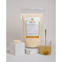 Produktbild von buXtrade Collagen Pulver Typ I Geschmacksneutral 2 kg