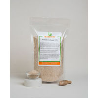 Produktbild von buXtrade Flohsamenschalen Pulver 1000 g