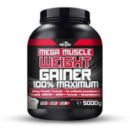 BWG Mega Muscle Weight Gainer Pulver Cookies & Cream ohne Aspartam 5000 g – Bild 1 von 7