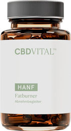 CBD VITAL Fatburner Komplex Kapseln mit Grünem Kaffeeextrakt und B-Vitaminen vegan glutenfrei laktosefrei 60 Stück – Bild 1 von 3