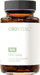 CBD VITAL OPC forte Traubenkernextrakt Kapseln hochdosiert vegan und glutenfrei 60 Kapseln – Bild 1 von 5